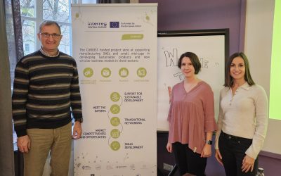 Četvrti sastanak projekta CURIOST u Linzu (AT)